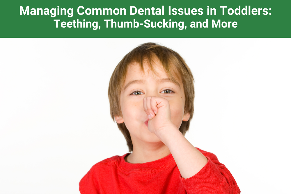 Managing Common Dental Issues in Toddlers Teething, Thumb-Sucking, and More New